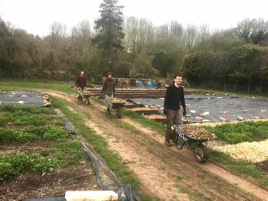 The Fold Farm Volunteering