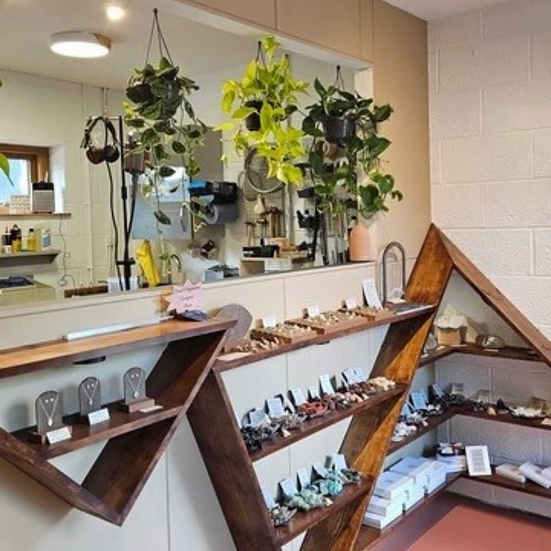 Lydia Lotus Designs