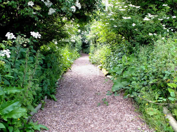 The Fold Railway Trail
