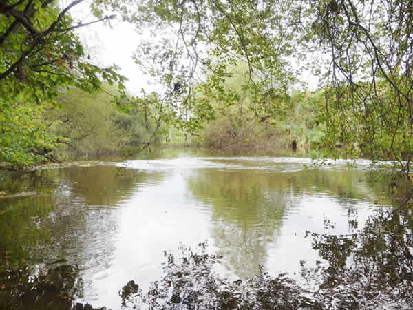 The Fold River