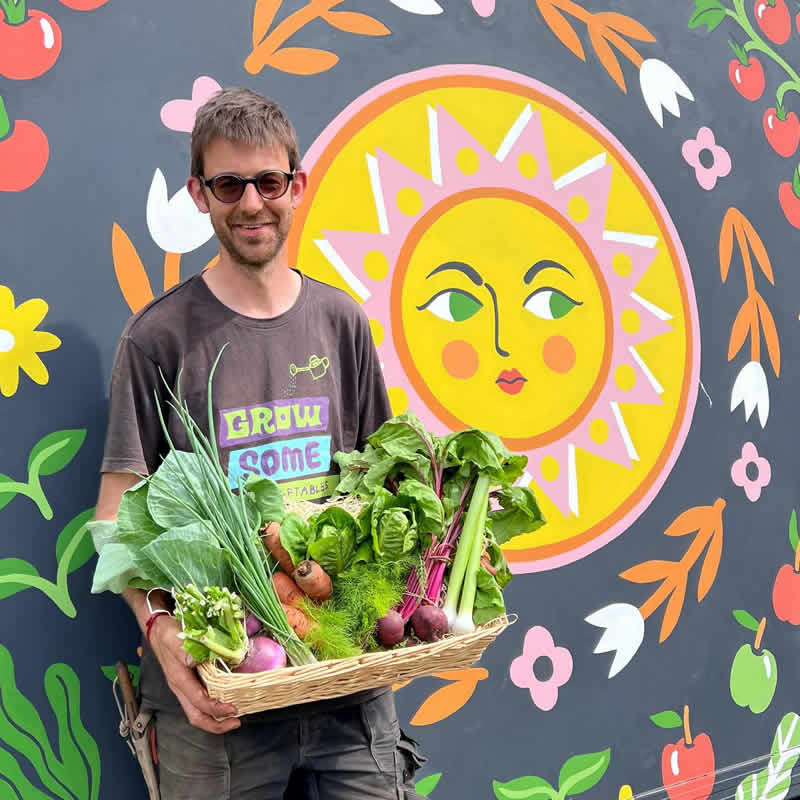 The Fold Veg Box