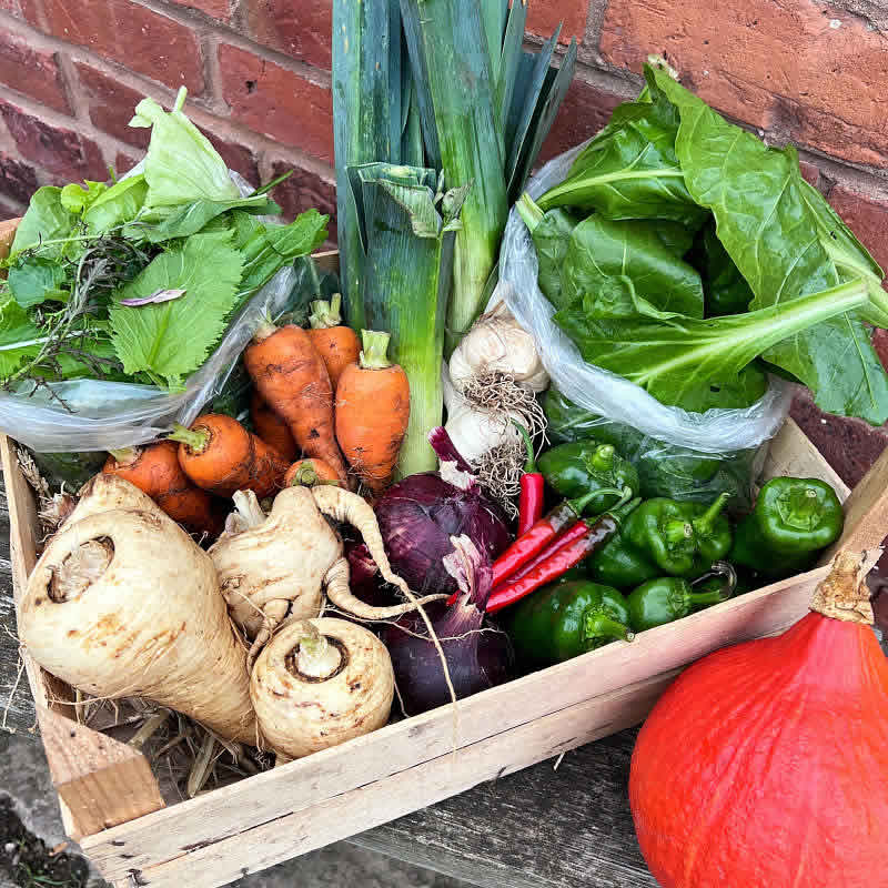 The Fold Veg Box