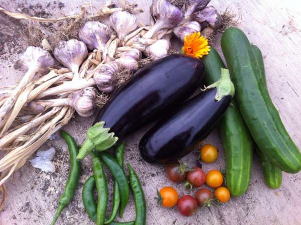 The Fold Vegetables