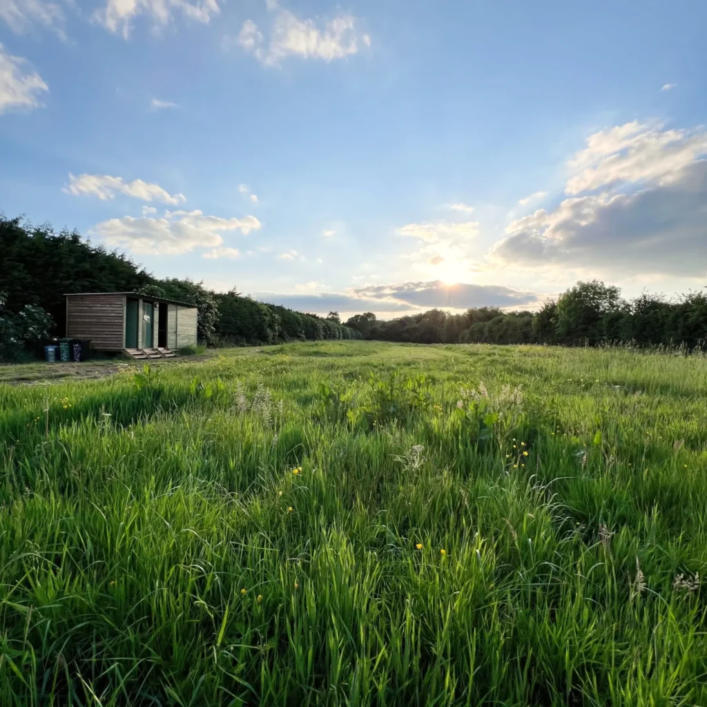 Camping at The Fold Bransford