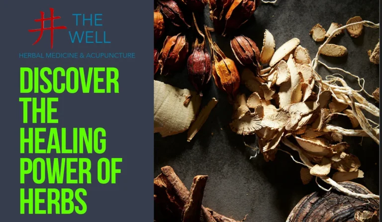 The Healing Power of Herbs
