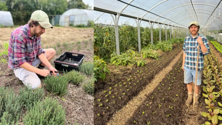 The Fold Farm - Meet Jude