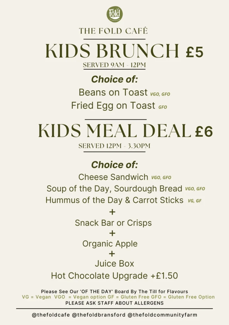 The Fold Cafe Kids Menu