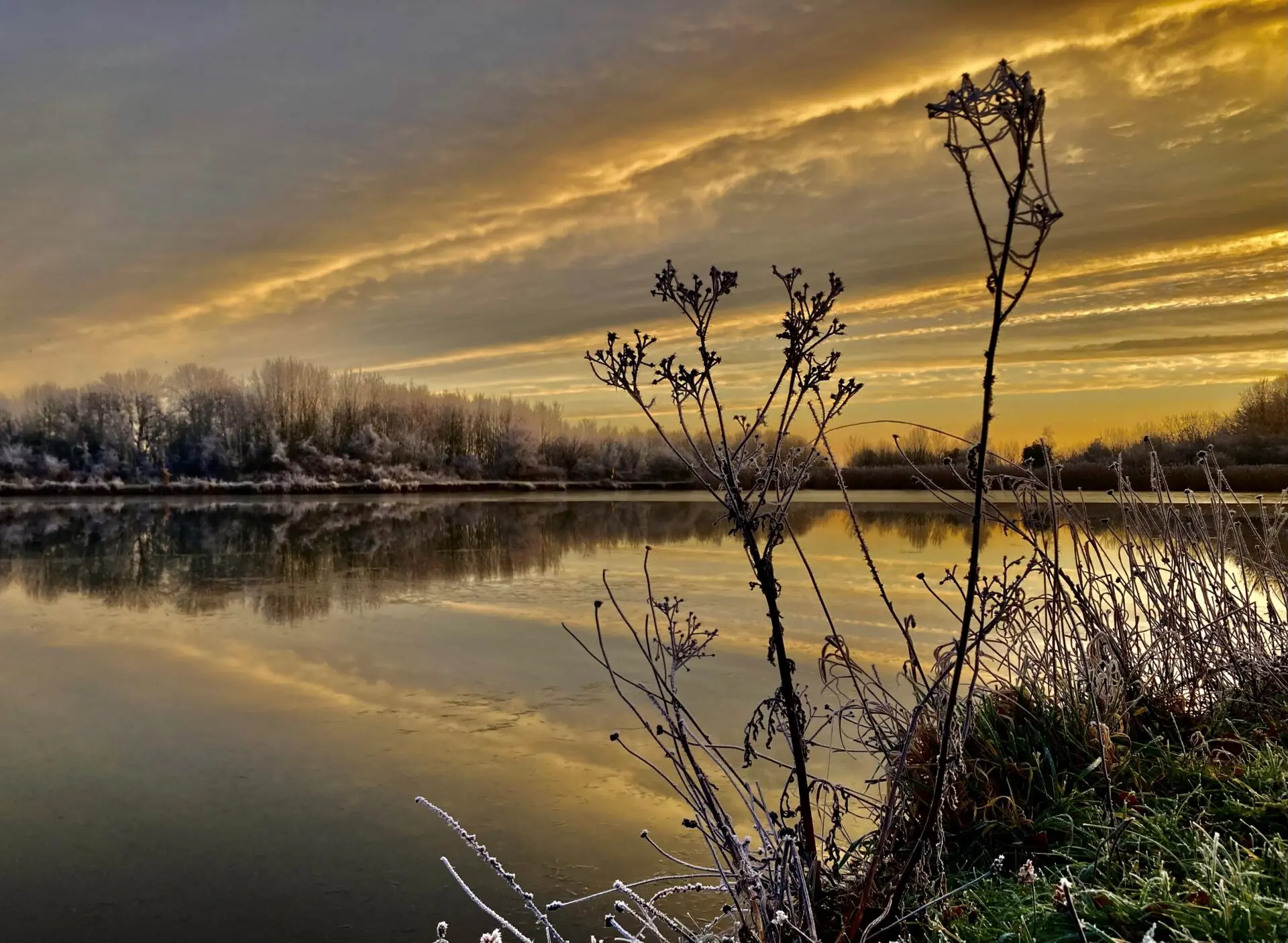 Winter on the Nature Trail