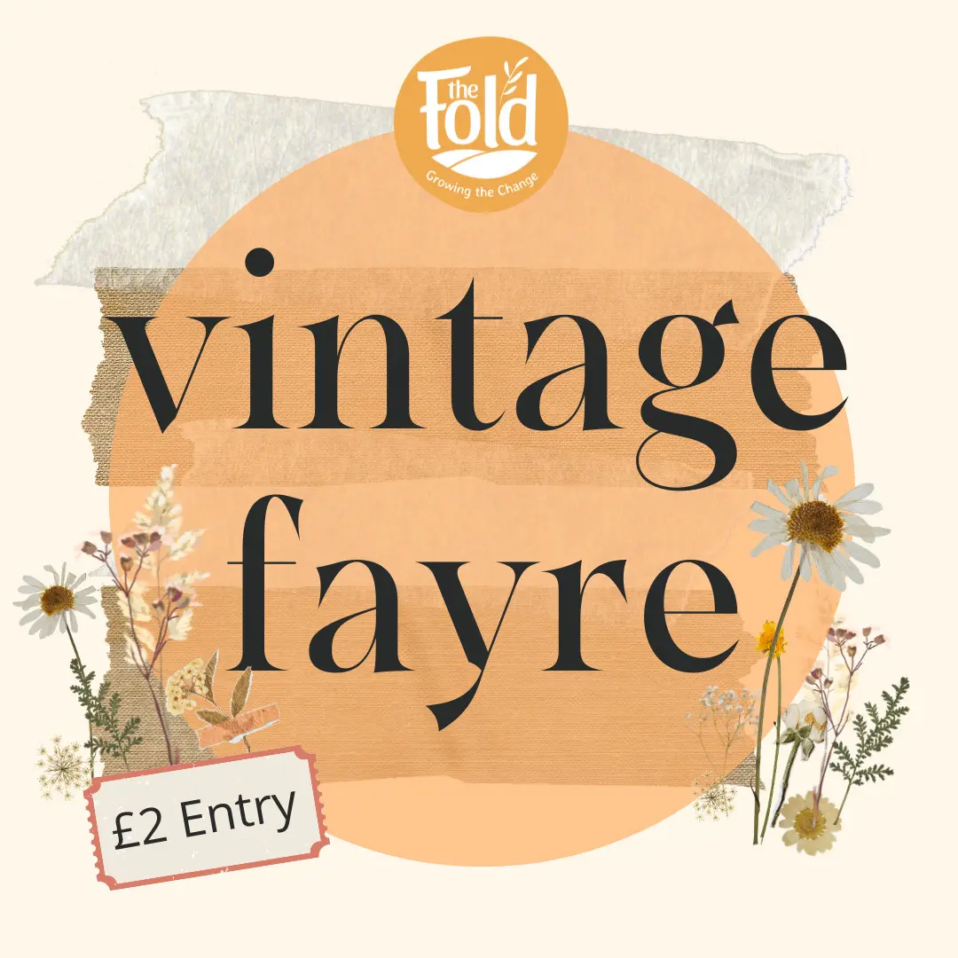 Vintage fayre at The Fold
