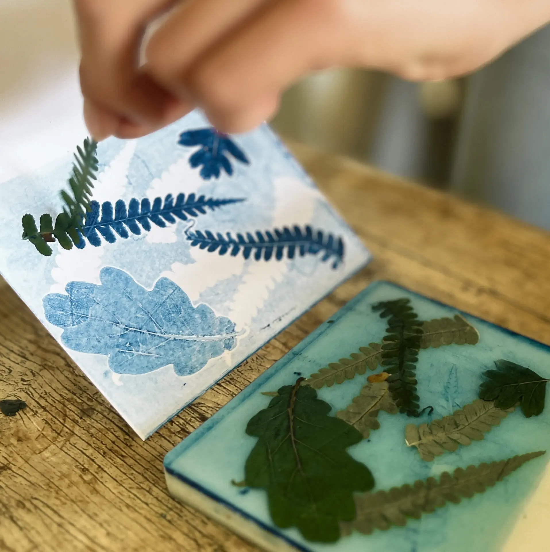 Botanical Card Printing