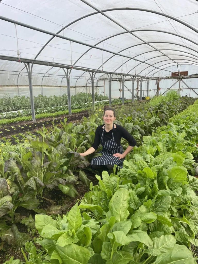 Lea Poly Tunnel