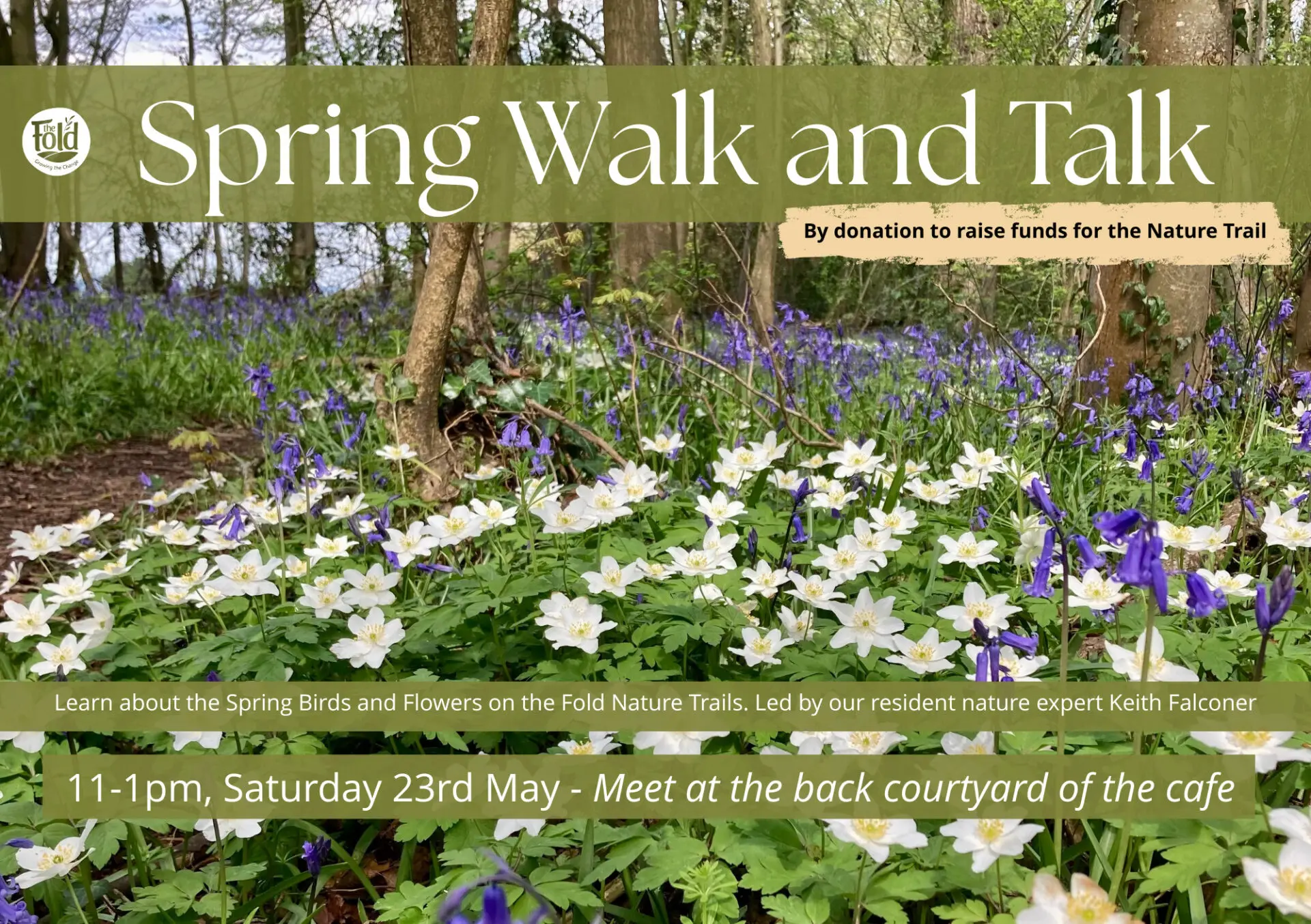Spring Walk and Talk