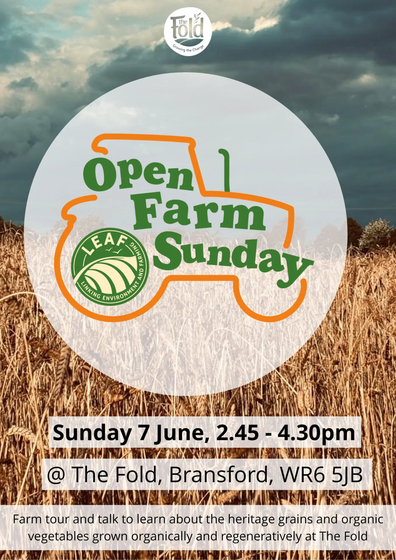 Open Farm Sunday at The Fold