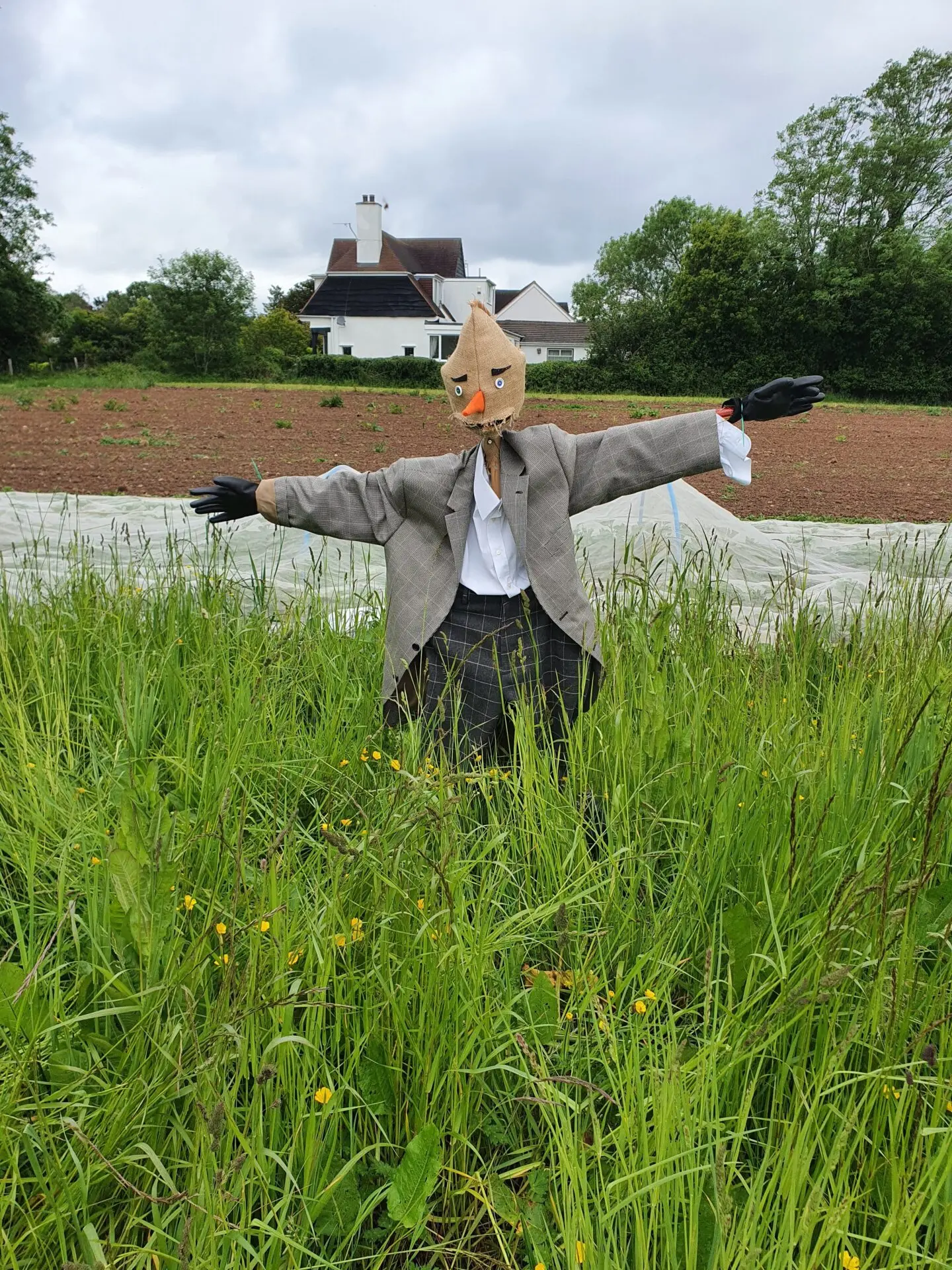 farm volunteering at the fold