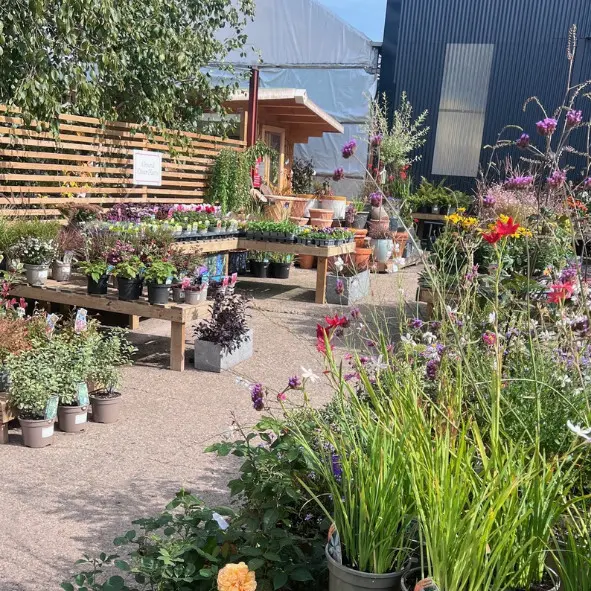 Wykeham Gardens Plant Centre at The Fold