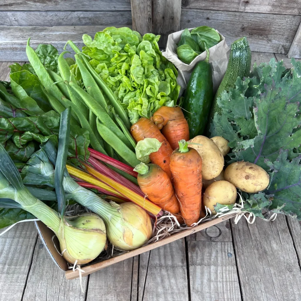 Seasonal organic vegetables at The Fold