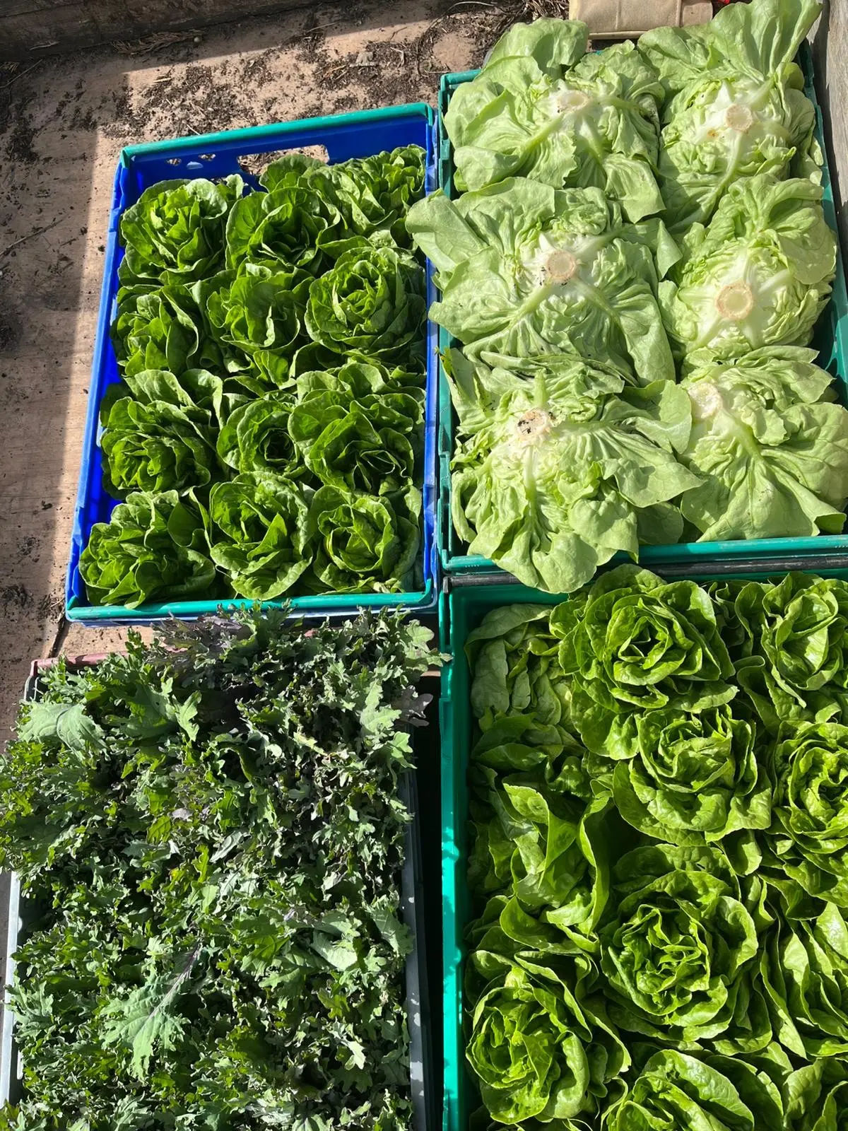 The Fold Farm
