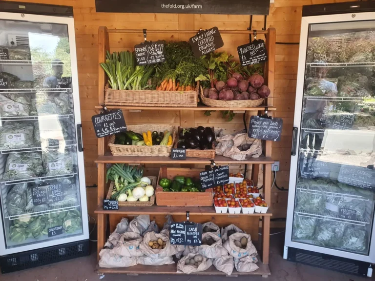 Veg Shed