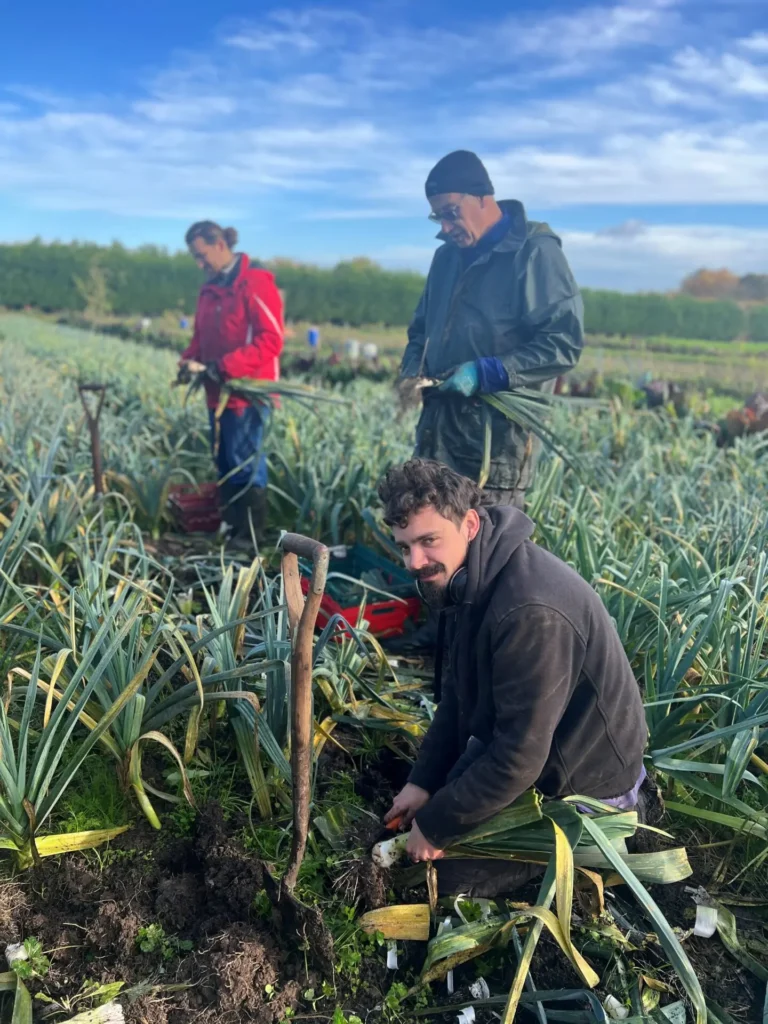 Farm Volunteers at The Fold