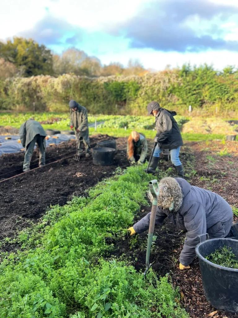 Farm Volunteers at The Fold