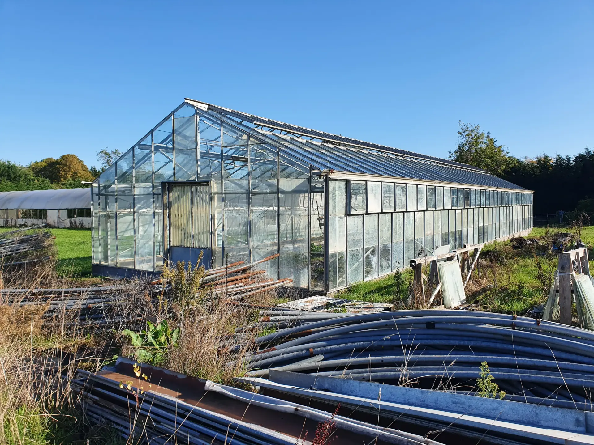 The Fold Farm - Meet jude
