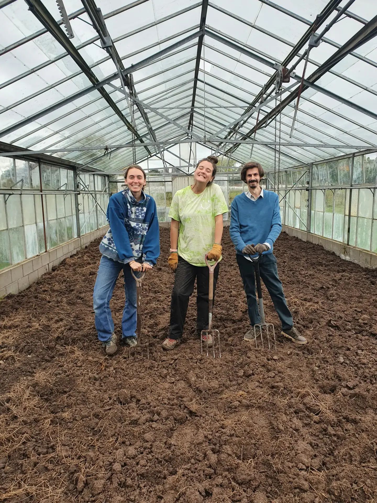 farm volunteering at the fold